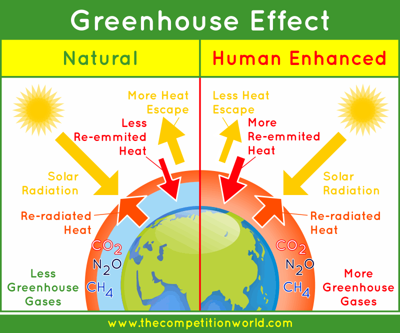 Buy Essay Papers Here depletion of ozone layer essay 2017/10/07